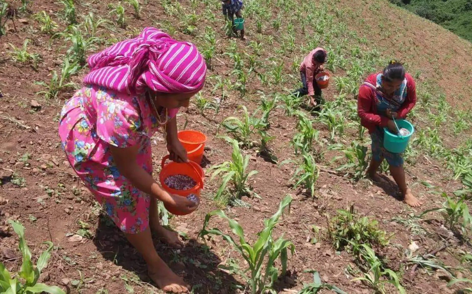 mujeres campo CORTESIA